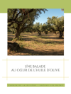 Découverte estivale de l'olive