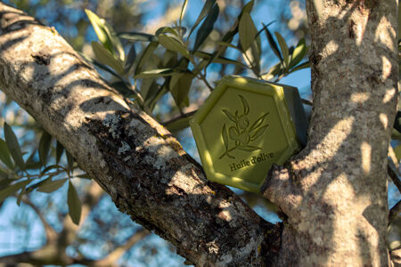Savon vert huile d'olive extraite à froid
