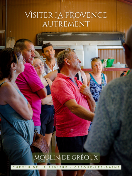 Le Moulin de Gréoux propose des visites guidées et des dégustations commentées au cœur d'un verger bio de 4000 oliviers 🌿