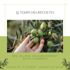 🌿 Le temps des récoltes d’olives est arrivé au Moulin de Gréoux