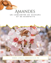 Amandes : croquantes et saines