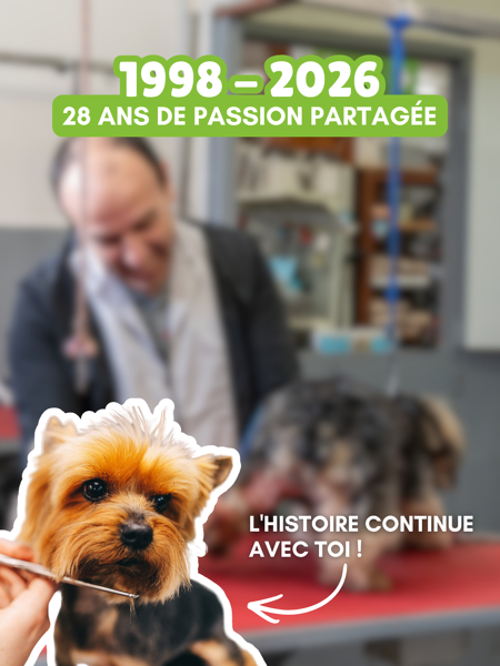 Juillet 1998 – Juillet 2026 : déjà 28 ans d'histoire commune 📆