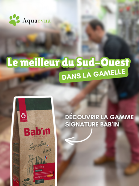 Le secret d'un animal dynamique et en bonne santé se trouve souvent dans le contenu de sa gamelle 🍲
