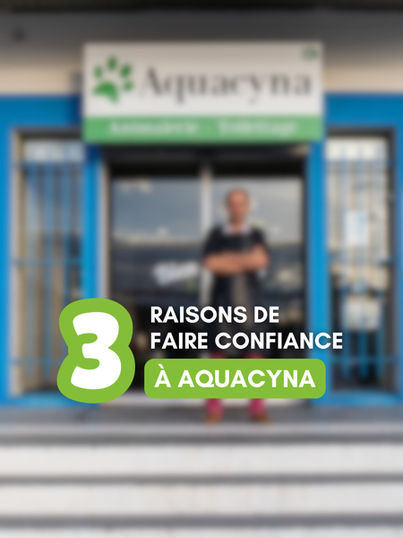 Trois raisons de confier son animal à Aquacyna 🐾
