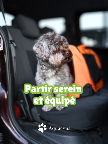 Bientôt le départ en vacances 🚗