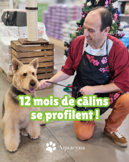 Les compagnons à quatre pattes, fidèles à eux-mêmes, enseignent la simplicité des joies durables !