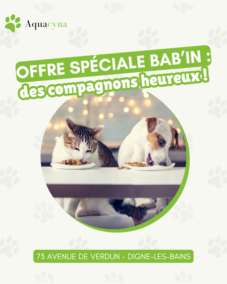 Offre spéciale croquettes Bab'in