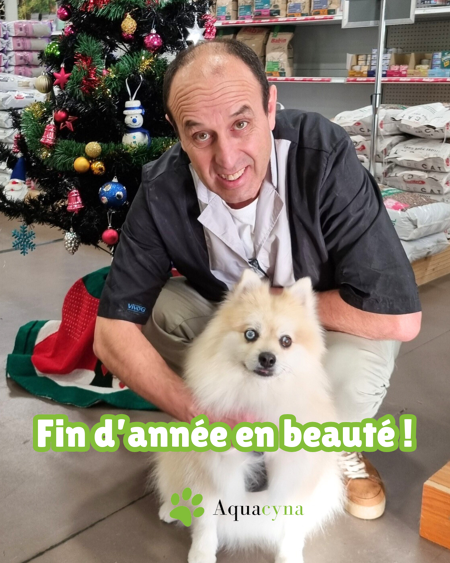 La fin de l’année rime avec câlins, confort… et soins pour les compagnons à quatre pattes. 