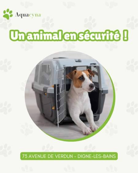 Cages de transport confortables