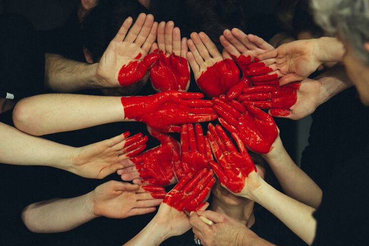 Nos coups de coeur