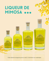 Liqueur de Mimosa délicate