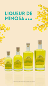 Liqueur de mimosa délicieuse