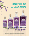 Saveurs estivales en fête