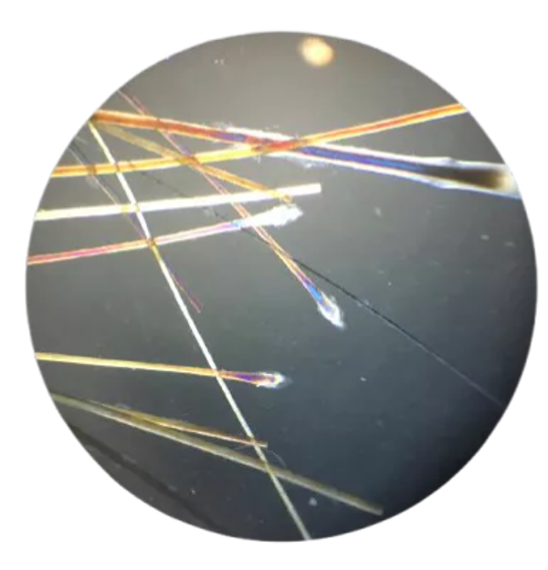 Qu’est-ce que la microscopie capillaire ?