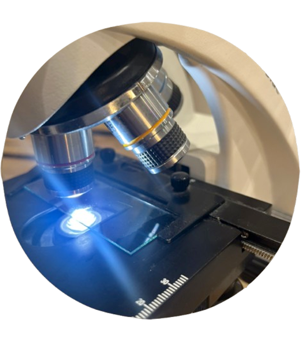 Comprendre vos cheveux avant de les traiter