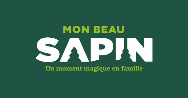 Découvrez notre Galerie Photo n°4