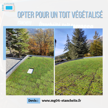 Végatalisation toiture 🍃