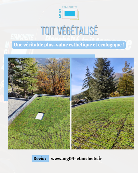 Toitures végétalisées, atout vert
