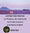 Entrez votre titre ici