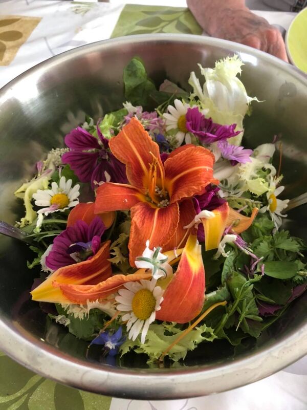 Explorer l'Âme de Bel Air : Gîtes et Chambres d'Hôtes à Droiturier