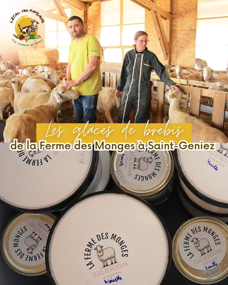 Glaces de brebis, un délice!