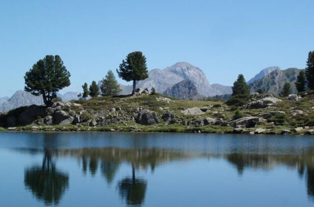 Découvrez en images Les Aigles du Verdon n°1