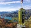 La Vinciane