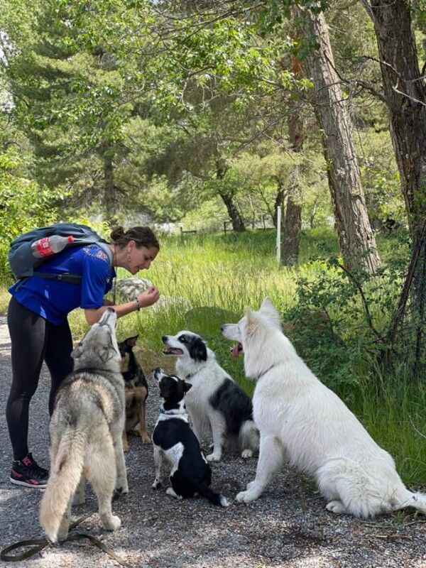 Esprit libre : bien-être animal