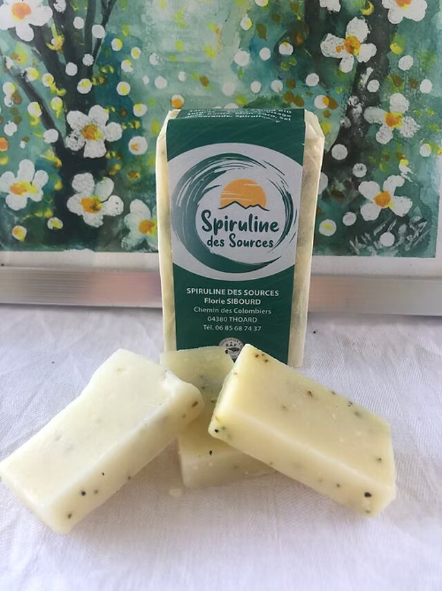 Découvrez en images Les Aigles du Verdon n°0