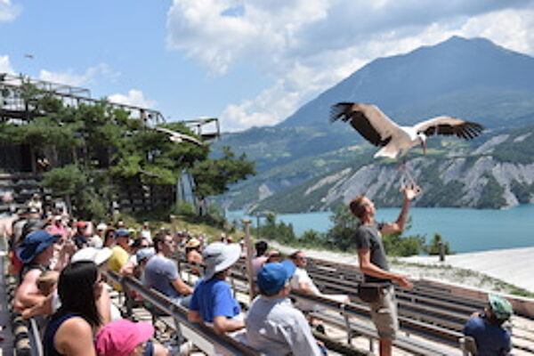 Parc animalier de Serre-Ponçon