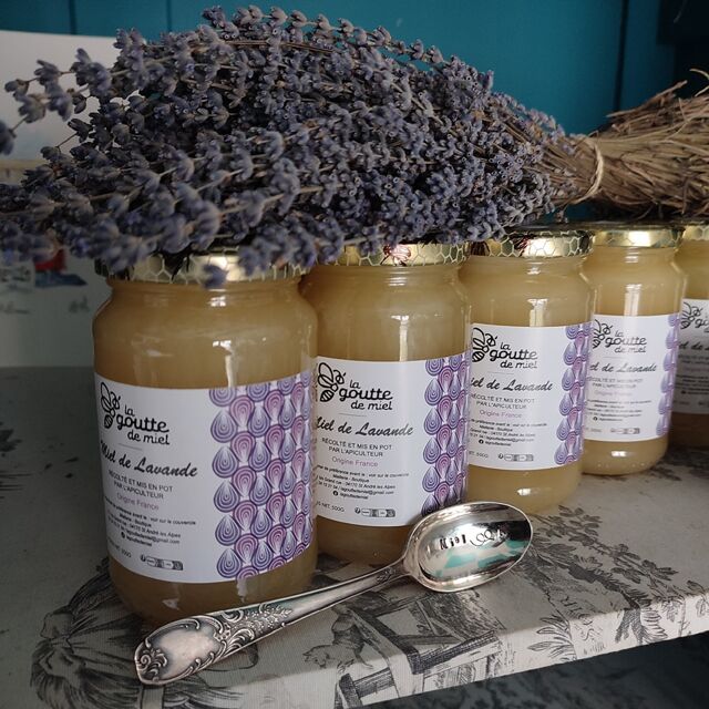 Découvrez en images Les Aigles du Verdon n°2