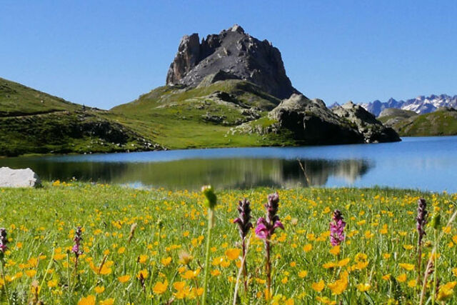 Découvrez en images Les Aigles du Verdon n°1