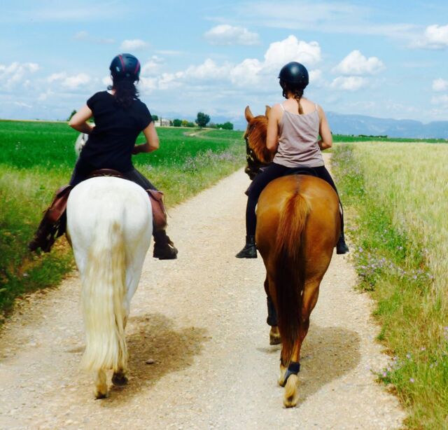 Les Écuries d'Aurabelle