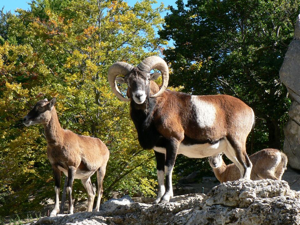 la Vallée Sauvage