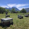 Découvrez en images Les Aigles du Verdon n°0