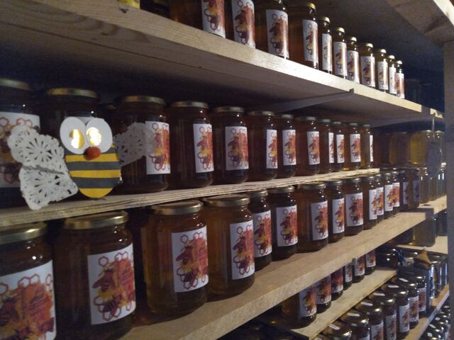 Découvrez en images Les Aigles du Verdon n°1