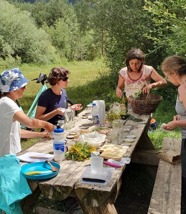 Stage plantes médicinales avec Anne Merry