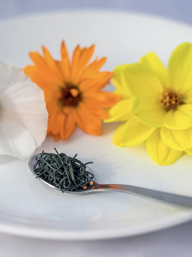 Découvrez en images Les Aigles du Verdon n°1