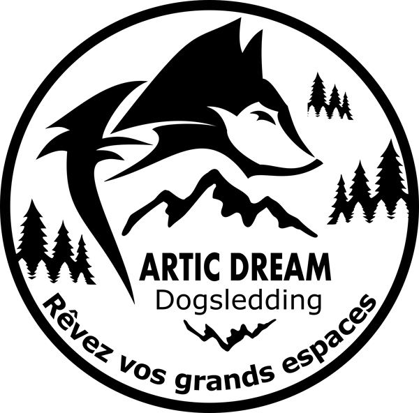 Artic Dream