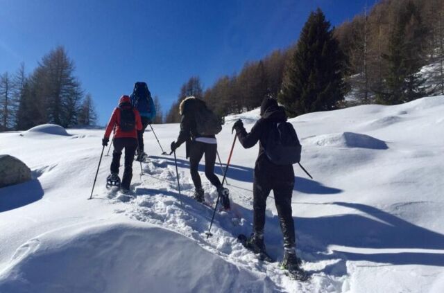 Découvrez en images Les Aigles du Verdon n°2