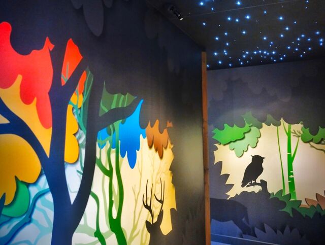 Découvrez en images Les Aigles du Verdon n°2