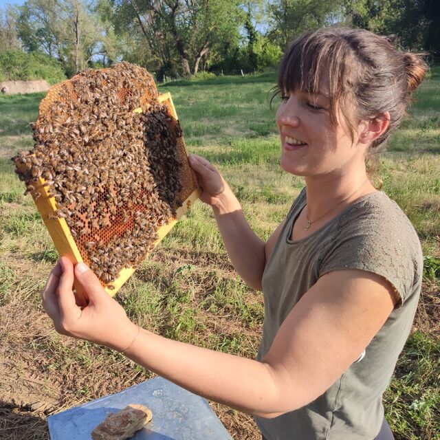 Découvrez en images Les Aigles du Verdon n°1