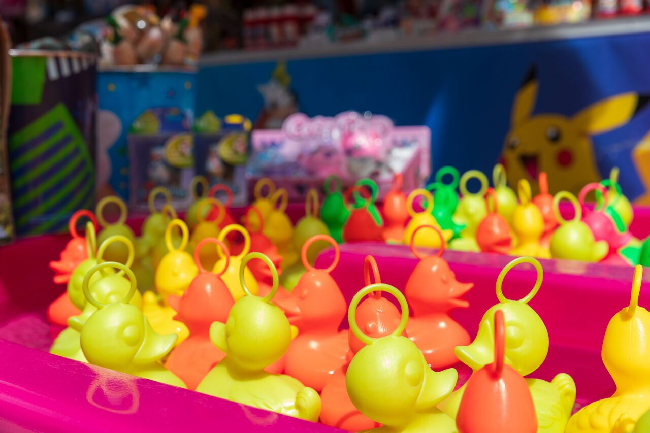 Location de la pêche aux canards