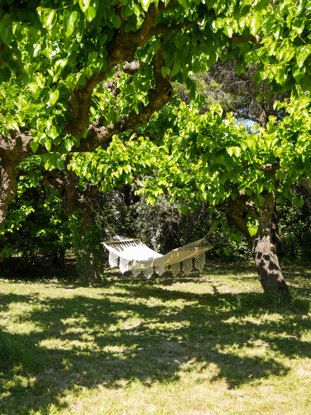 Découvrez la beauté du parc de La Paousette n°9
