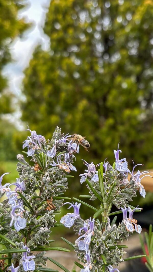 Un ancrage local, une conscience écologique