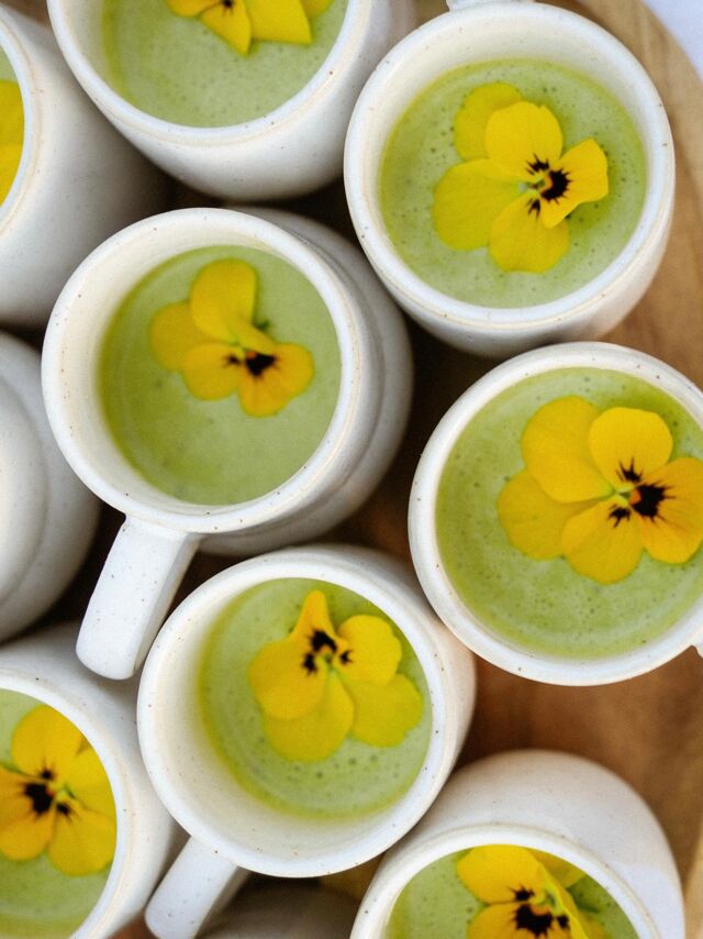 Ici, on vit bien n°14