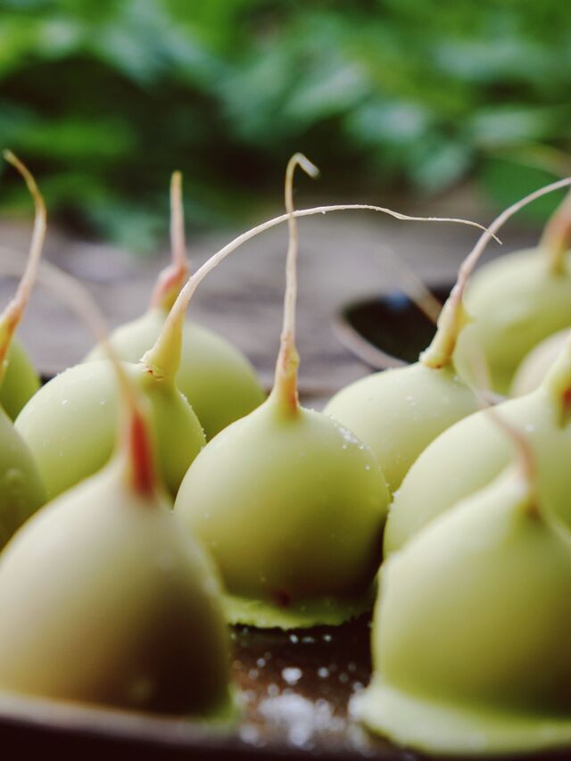 Ici, on vit bien n°10