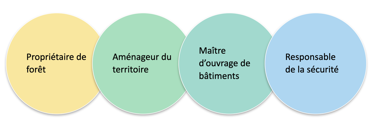 Être à vos côtés pour tous vos projets et toutes vos démarches en lien avec la forêt et l'utilisation du bois