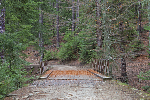 Optimisation de l'accessibilité et de la gestion foncière