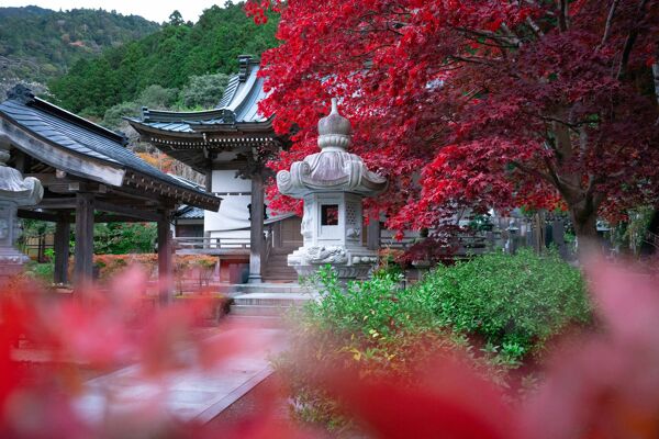 Quand partir au japon ? Meilleure période et climat